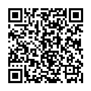 欣赏着眼前人脸上的薄红一直蔓延到脖子和颈子后面二维码生成