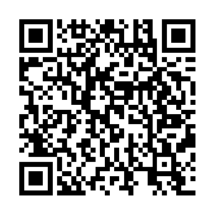 欧阳天明显的感觉到在苏凡的拳头之上除开本身的力道之外二维码生成