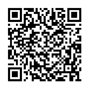 欧阳天的眼神之中也是没想到苏凡会让他们离开二维码生成