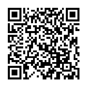 欧阳市长已经从运河县调任到我们湖西市担任副市长了二维码生成