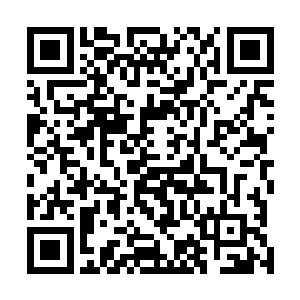 欧阳志远一听韩奉诚准备和湖西市签订二百亿的特大订单二维码生成