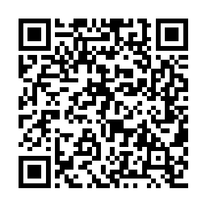 欧阳志远毫不犹豫的先抢救那个六七岁的小男孩二维码生成