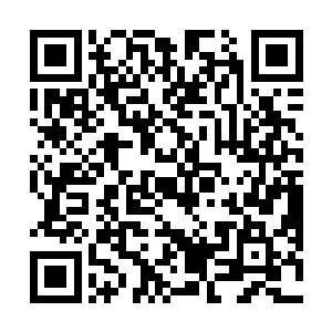 欧阳菲菲此刻在休息室正和会场的一位经理争吵了起来二维码生成