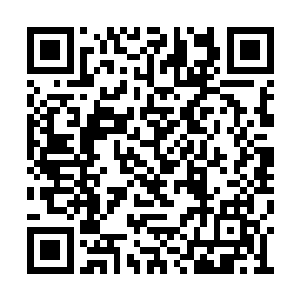 欲魔手中的鞭子可以压榨出他们体内的秩序之力二维码生成