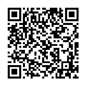 欺男霸女敲官府门掘绝户坟的恶事真的是做得太多了二维码生成