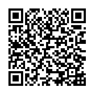 歇息的时候发现龙木正拿着刚才她从伤口里取出来的木棍看二维码生成