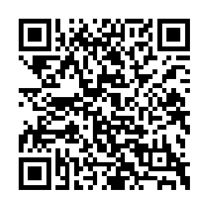 正伏低矫健的身体保持着随时都会扑上来的姿势二维码生成