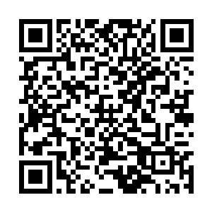 正倚在榻上和身边的嬷嬷说话的白老夫人愣了一下二维码生成