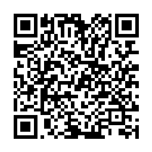 正借着冯文博的力要站起来的杨慧娥却猛吸一口冷气二维码生成