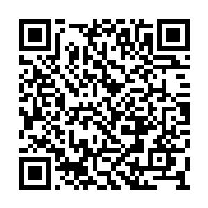正和她们身边的记者们对着红河公司指指点点的二维码生成