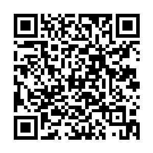 正品着茶里的淡淡幽香忘却一切的时候手机却响了……二维码生成