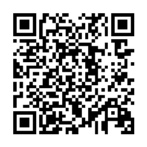 正因为自身惊人的悟性和在战斗中提升自我的超强能力二维码生成