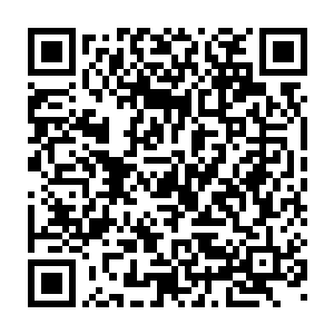 正在为日后大白口粮问题发愁的凤小熊和大白显然没有发现这一异样二维码生成