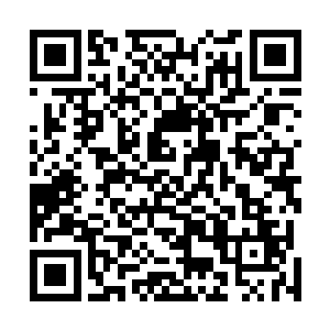 正在他们各自下注赌蛋圆圆会成为邢战或尚枫亭的弟子时二维码生成