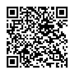 正在众多身材惹火的泳装女郎的环绕中慵懒的躺着二维码生成