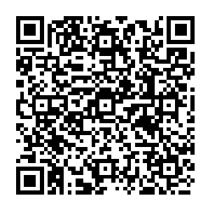 正在和变异蟋蟀鏖战的楚旬等人也看到天空有一道隐约可见的月白色剑光一闪而过二维码生成