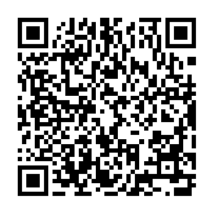 正在和那些雷霆仙兵仙将厮杀的修士猛然发现那些雷霆仙兵仙将的身体分解了二维码生成