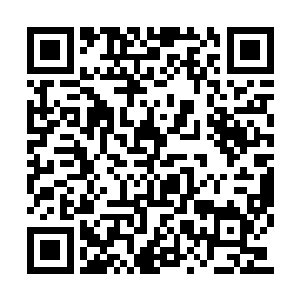 正在地穴边缘准备绳索的暗卫见状只得向后退开二维码生成