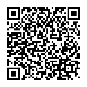 正在大家都在努力地思考着到底这件事情的背后还隐藏着什么的时候二维码生成