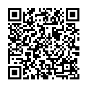 正在开车的米晓琪抬头看了一眼后视镜的白振东二维码生成