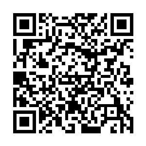 正在我皱眉望着车窗外疾驶而过的风景内心忐忑的时候二维码生成