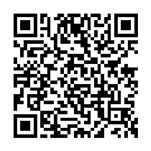 正在战斗的人居然是梦境神殿的那支裁决者小队二维码生成