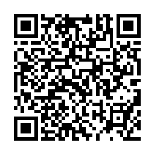 正在打架的沐覃和沐昀两个在西欢儿晕倒的瞬间就停了下来二维码生成