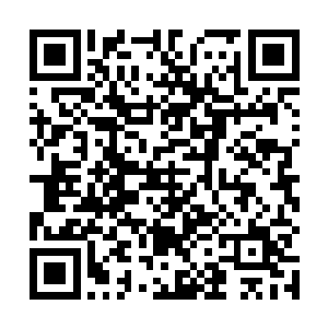 正在整理行李的特蕾莎突然感觉一阵喜悦之情涌上心头二维码生成