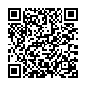 正在此处稍作休息的大量结丹期和元婴初期的修士们二维码生成