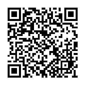 正在研究君战天势力的苏凡等人忽然接到了消息二维码生成