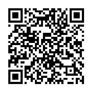 正在给人分发解毒汤药的凌菲也清楚的听到了这一声二维码生成