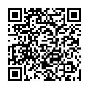 正在观战的纳兰鹏飞见到龙英杰竟站在一朵火莲上飞來二维码生成