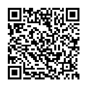 正在说话的时候几个人影已经快速出现了在窗口二维码生成