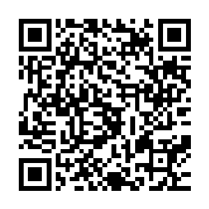 正在这些北境士兵欣喜于总算要解决掉这个十分棘手的人物时二维码生成