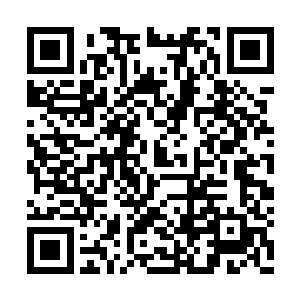 正好也可以问问他们古仙洞府到底是怎么回事了二维码生成