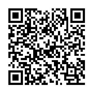 正好他们的生活简单除了杀人和训练只怕没有别的记忆二维码生成