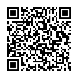 正好斩在中间那只最高大强壮梦魇兽的独角根部二维码生成