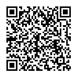 正好是处于幼生期和成熟期之间的……当第四颗斑点也变红的时候二维码生成