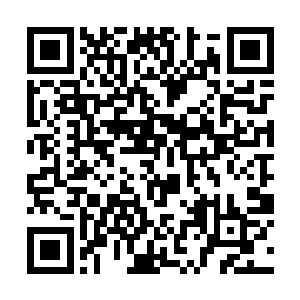 正好看到陈敬山和几个副区长一齐往区政fǔ大楼走去二维码生成