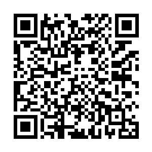 正好见到一条碧眼巨蟒将一个武者整口吞下的可怖场景二维码生成