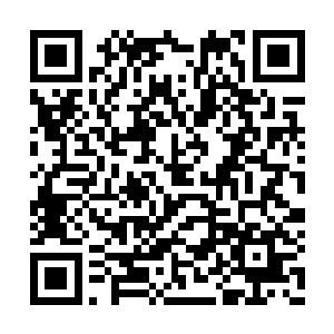 正好让老朽看看究竟是谁在与我们巨象仙宗作对二维码生成