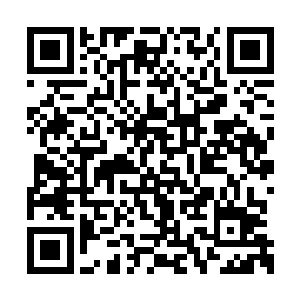 正如人类不会对冷冰冰的岩石产生太多兴趣一样二维码生成