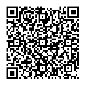 正如没人知道最初的氨基酸等有机分子究竟是怎么从无机物的疯狂碰撞和激烈反应中诞生二维码生成