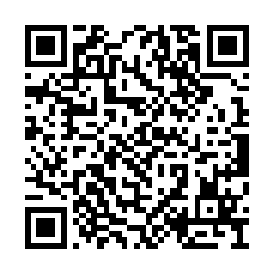 正常人的攻击方法根本就没办法攻击到灵的神魂二维码生成