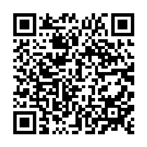 正常情况下想要毁灭战天宗的老巢那几乎是不可能的二维码生成