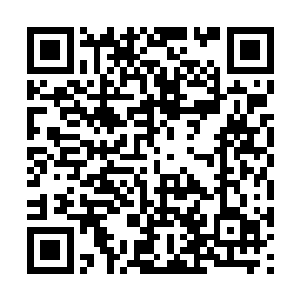 正式在黑虎旗上下竖立了他这个新任大统领的权威二维码生成