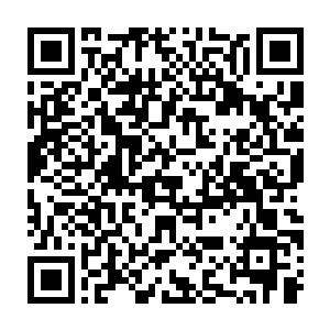 正当两个老教授觉得自己保守的理直气壮的时候听到了一阵引擎声二维码生成