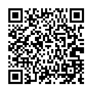 正急需一批在地元界有着战斗经验的骑士回去稳定局势……二维码生成