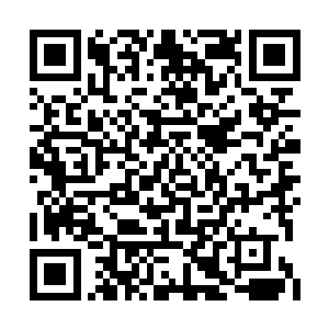 正想着一抬头看到了蹑手蹑脚从走廊过来的顾漫二维码生成