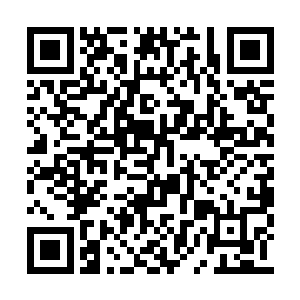 正拿着一只有她小脸一半大的大勺往锅内划拉着二维码生成